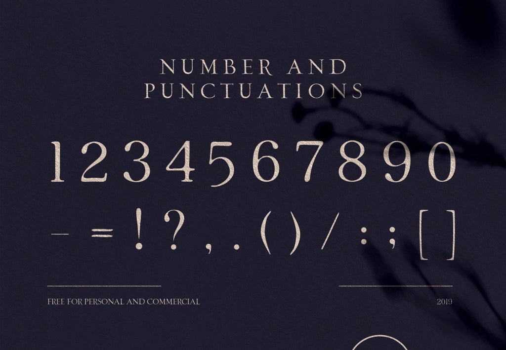 Loki Serif Script Font