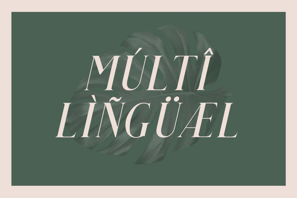 Qualey Elegant Serif Font