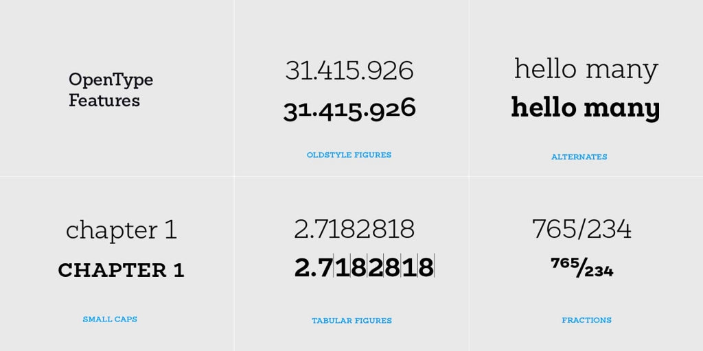 Sánchez Niu Font